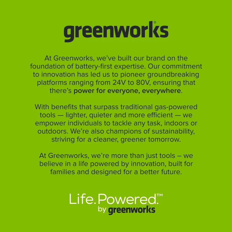 24V PowerAll High Power 4.0 Ah Battery (2-Pack)
