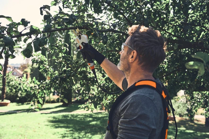Stihl ASA 140 Akku-Astschere ohne Akku und Ladegerät