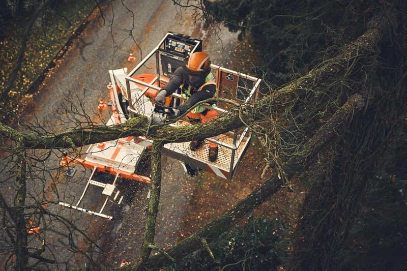 Stihl MSA 190 T Akku-Kettensäge ohne Akku und Ladegerät
