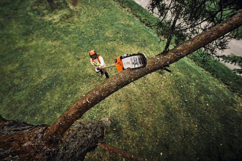 Stihl Akku-Hochentaster HTA 160 B, ohne Akku und Ladegerät