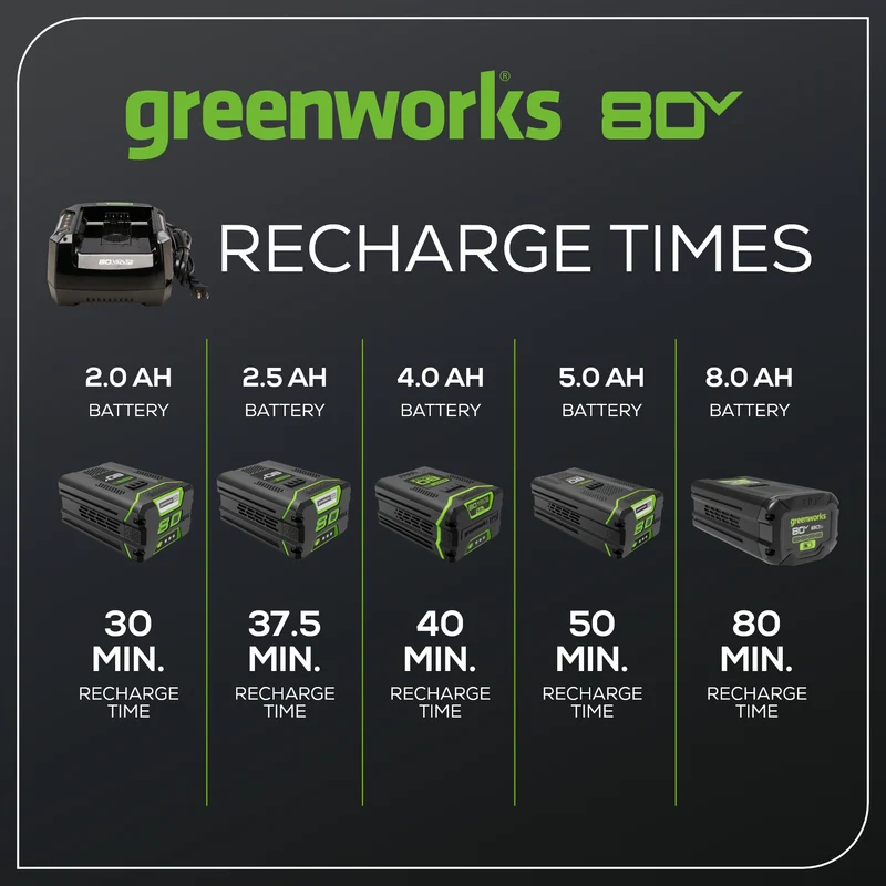 80V 6A Battery Charger