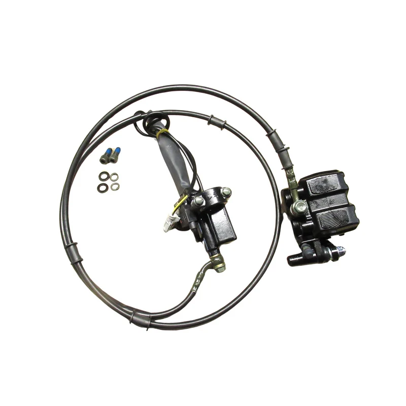 Rear brake assembly