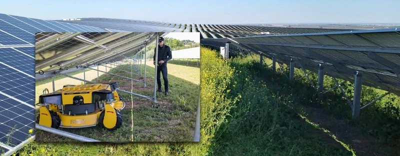 Spider 2SGS SUPERLOW EFI Großflächenmäher und Böschungsmäher mit Seilwinde, Höhe nur 71 cm, perfekt für Solarpark Pflege
