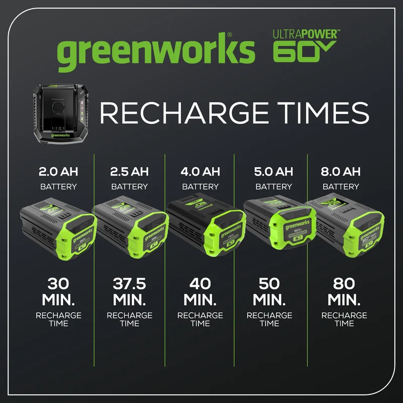 60V 6A UltraPower Rapid Battery Charger