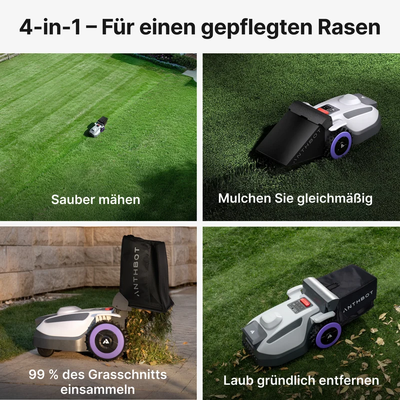 ANTHBOT N8