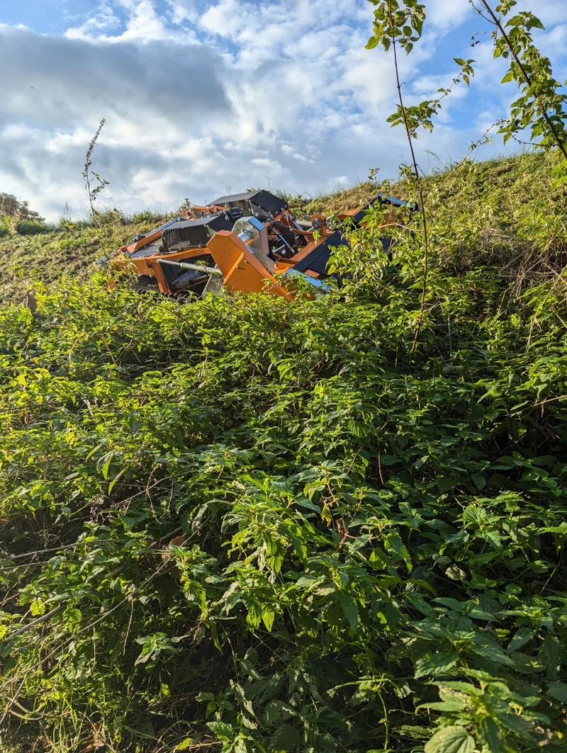 Mähraupe mieten im Erzgebirge, Chemnitz, Zwickau & Leipzig