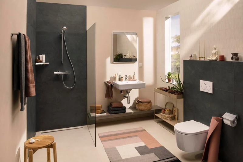Hansgrohe Zubehör