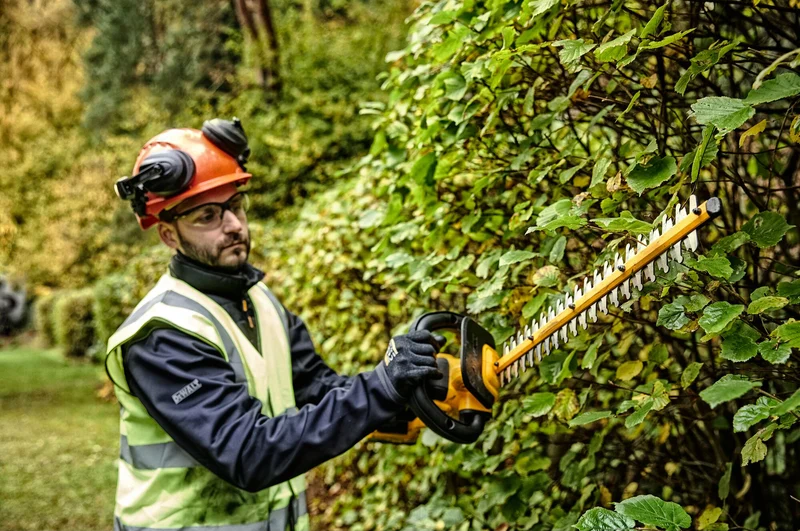 Hedge trimmer Dewalt DCMPH566P1-QW 18V 5Ah