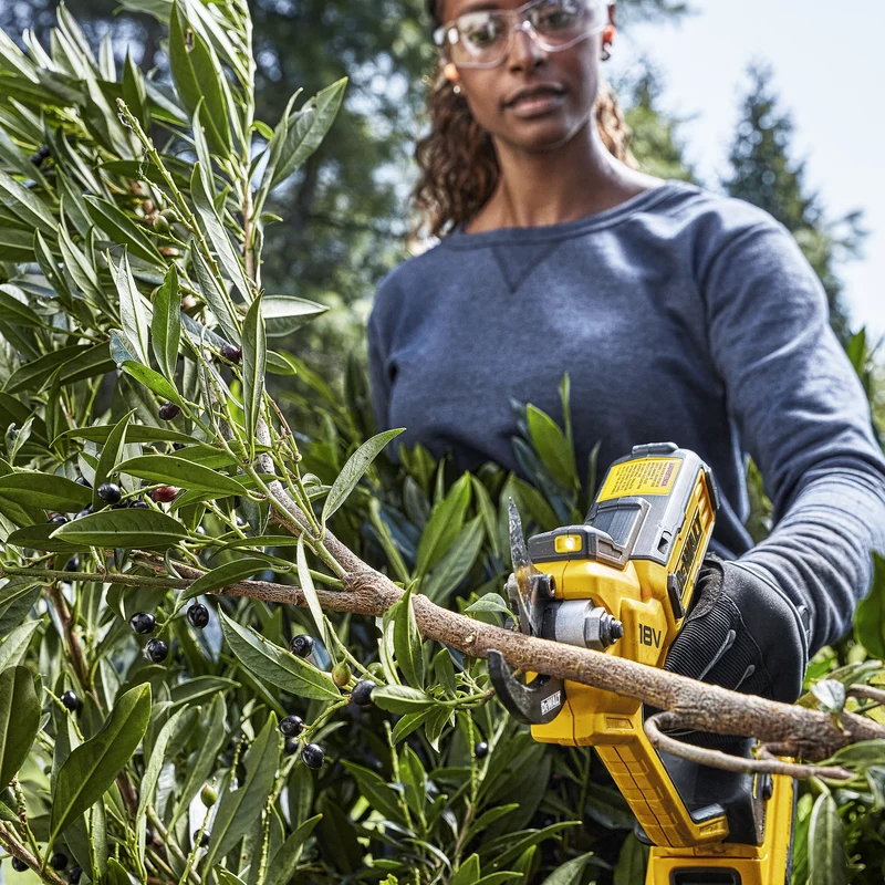 Manual pruner Dewalt DCMPP568P1-QW 18V 5Ah