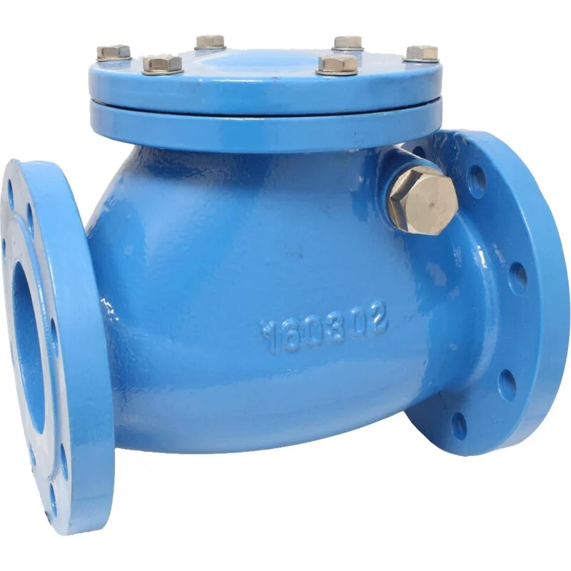 Watergates Rückschlagklappe DN100 PN16