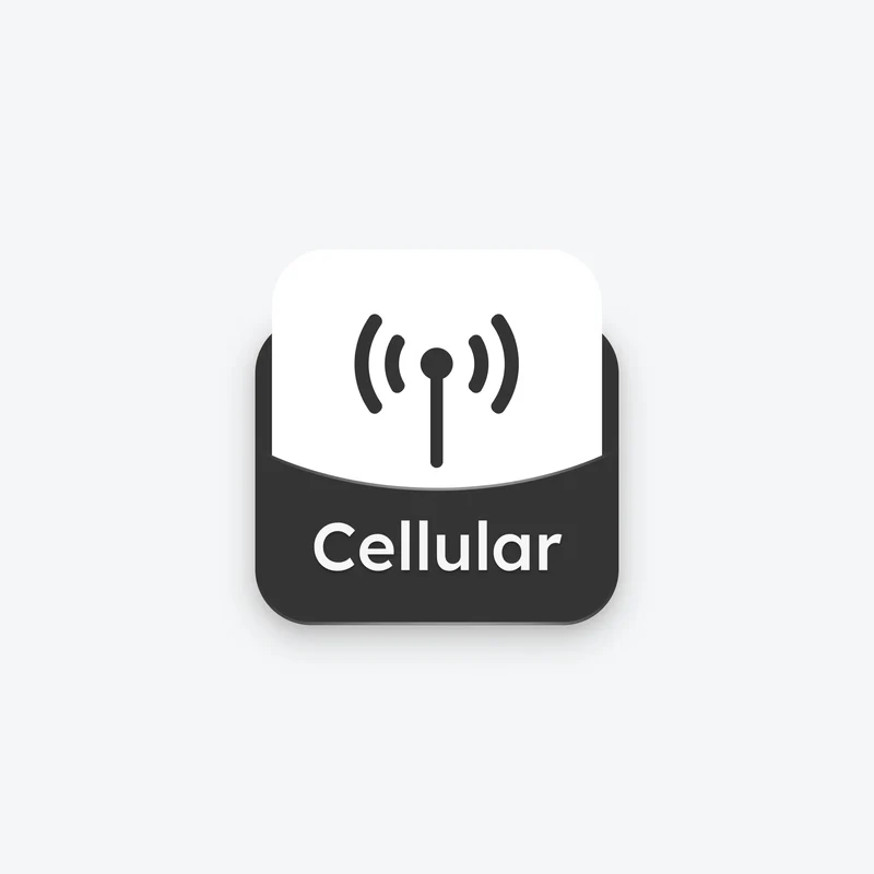 Cellular Traffic Package (1G/Year)
