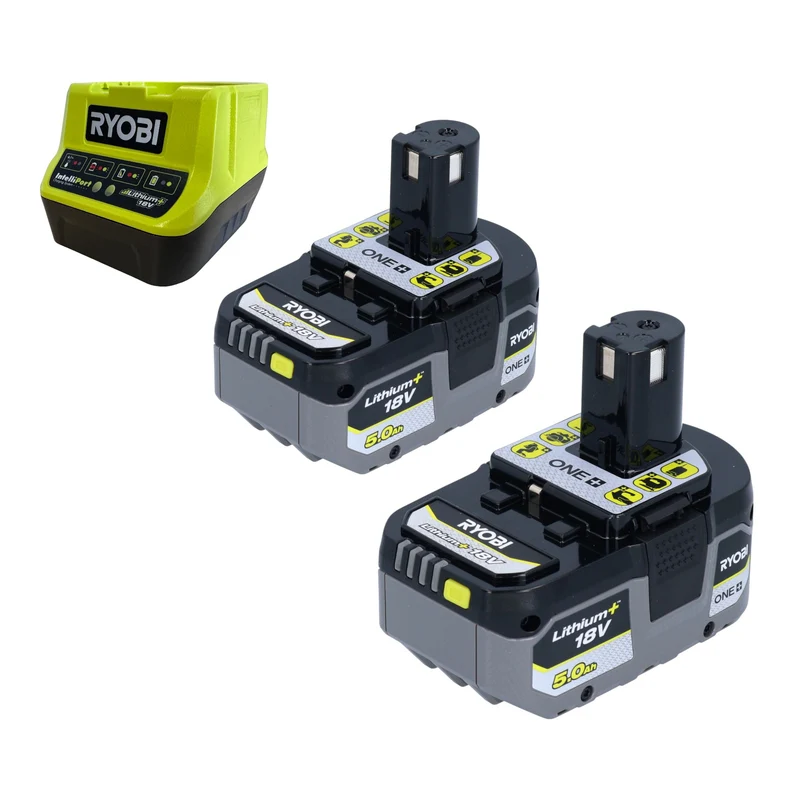 RYOBI RY18STPA-0 Akku Regenfasspumpe 18 V 3360 l/h + 2x Akku 5,0 Ah + Ladegerät