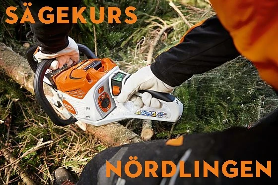 Sägekurs in NÖRDLINGEN