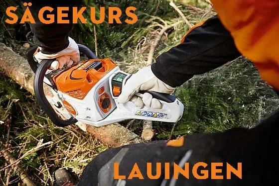 Sägekurs in LAUINGEN