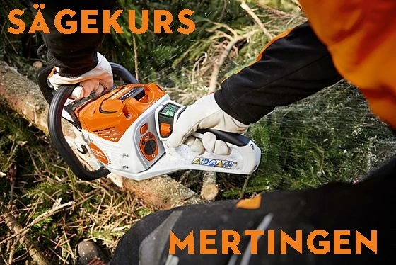Anzahlung zum Sägekurs in MERTINGEN