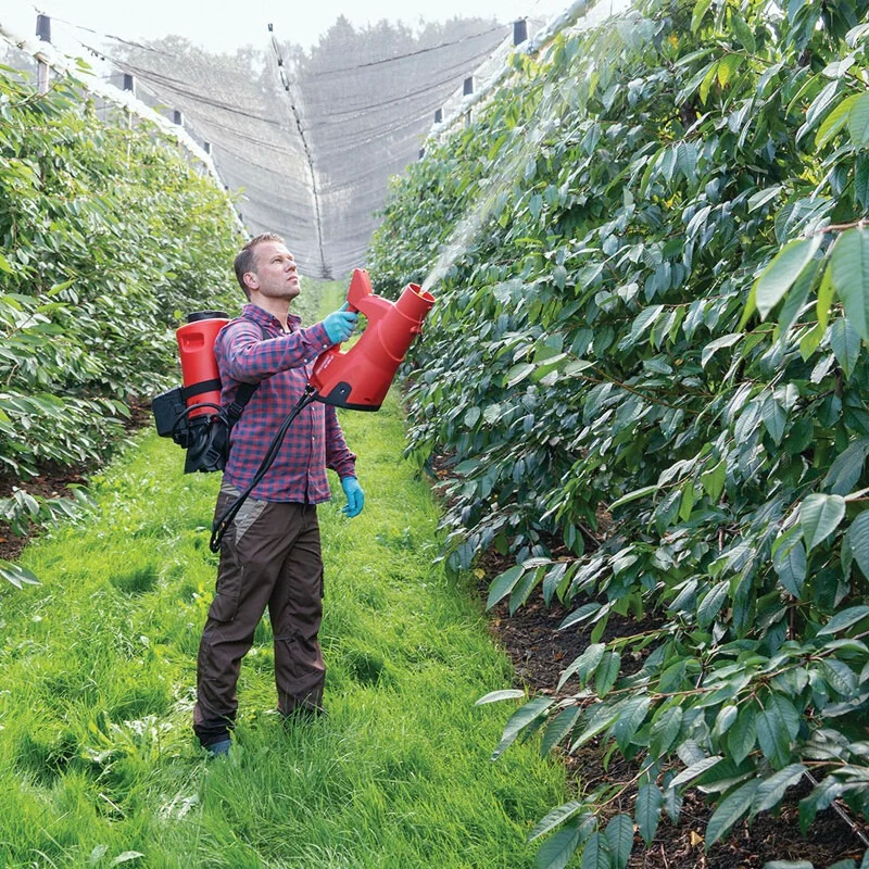 Birchmeier Sprühgebläse Gewicht 10,30 kg